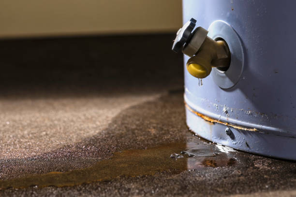 Best Water damage restoration experts  in Snowmass Village, CO