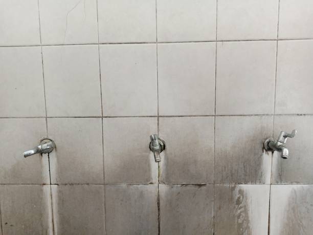 Best Emergency water extraction  in Snowmass Village, CO