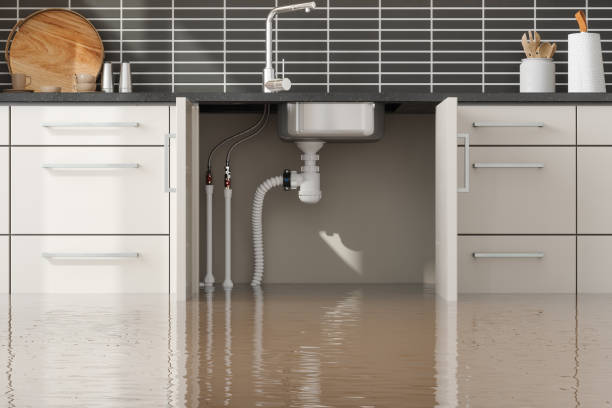 Best Commercial water damage restoration  in Snowmass Village, CO