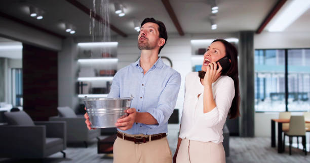 Best Sewage cleanup and water damage restoration  in Snowmass Village, CO