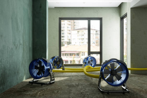 Best Water damage contractors near me  in Snowmass Village, CO