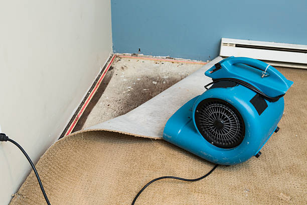 Water damage restoration experts in Snowmass Village, CO